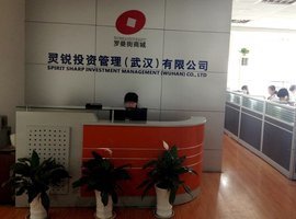靈銳投資管理（武漢） 專業投顧賦能企業成長